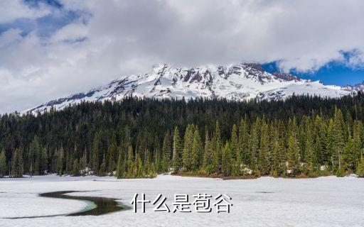 什么是苞谷