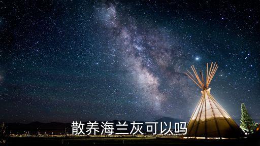 海兰灰，散养海兰灰可以吗