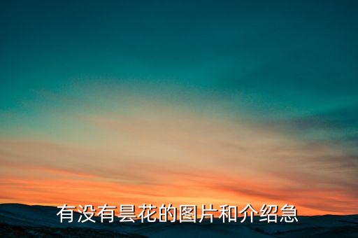 有没有昙花的图片和介绍急