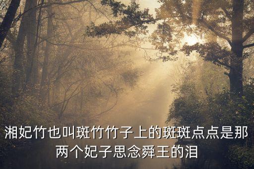 湘妃竹，请问湘妃竹出自哪个典故呢请详细回答