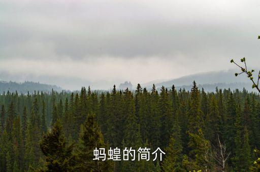 蚂蝗的简介