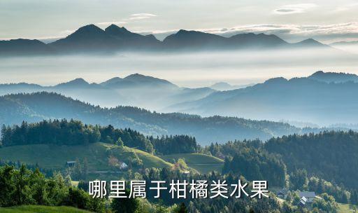 哪里属于柑橘类水果