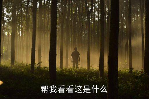 帮我看看这是什么