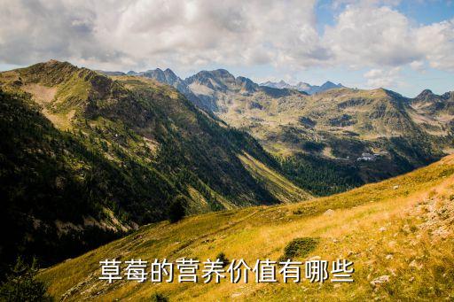草莓的营养价值及功效，草莓的功效和营养价值