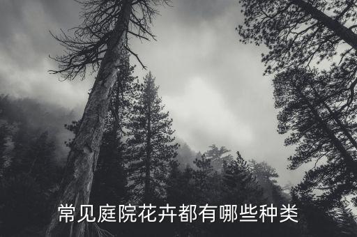 常见庭院花卉都有哪些种类
