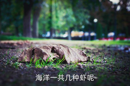 海洋一共几种虾呢