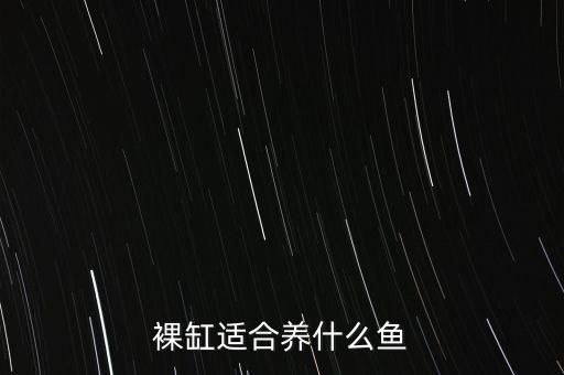 裸缸适合养什么鱼