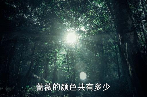 蔷薇花的颜色，蔷薇花是什么颜色