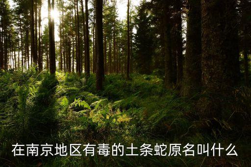 在南京地区有毒的土条蛇原名叫什么