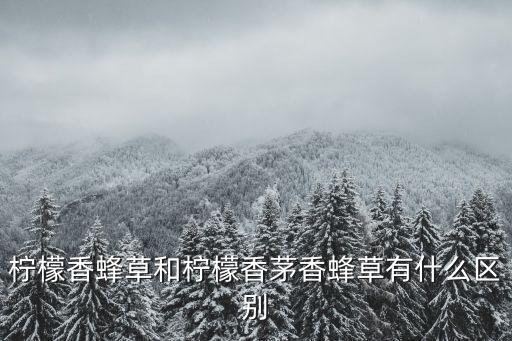 柠檬香蜂草和柠檬香茅香蜂草有什么区别