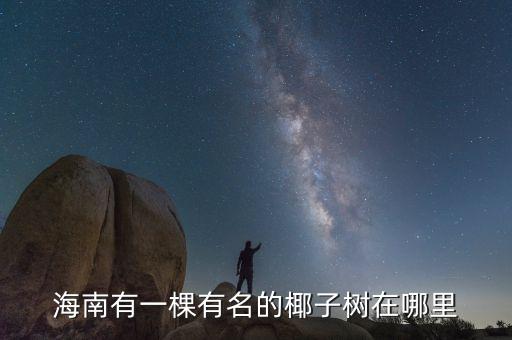 海南有一棵有名的椰子树在哪里