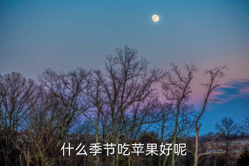 什么季节吃苹果好呢