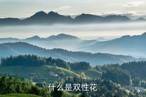 什么是双性花
