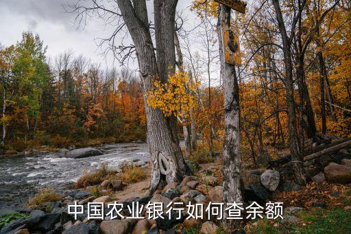 中国农业银行如何查余额
