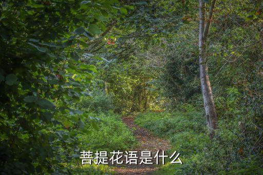 菩提叶的寓意，菩提树和菩提花各代表什么意思呀