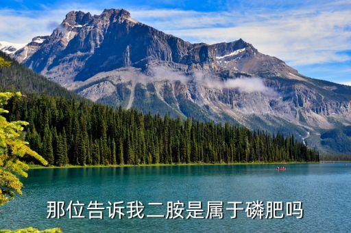 那位告诉我二胺是属于磷肥吗