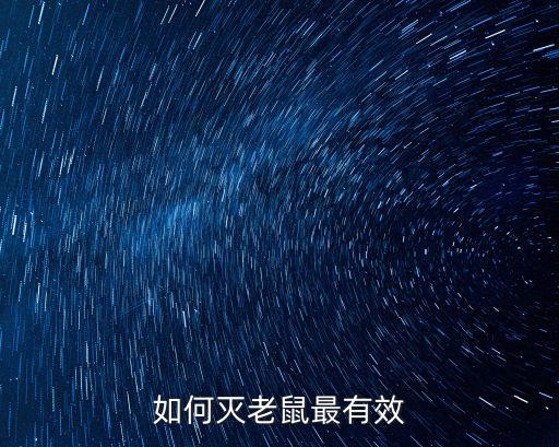 如何灭老鼠最有效