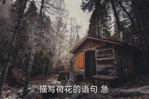 荷花怎么形容，描写荷花的语句 急