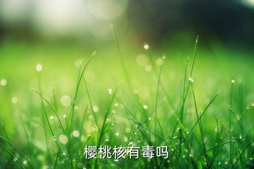 樱桃核有毒吗
