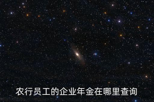 农业企业年金怎么查询，农行员工的企业年金在哪里查询