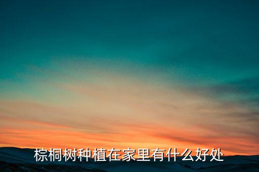 棕桐树，泰拉瑞亚棕桐树怎么得