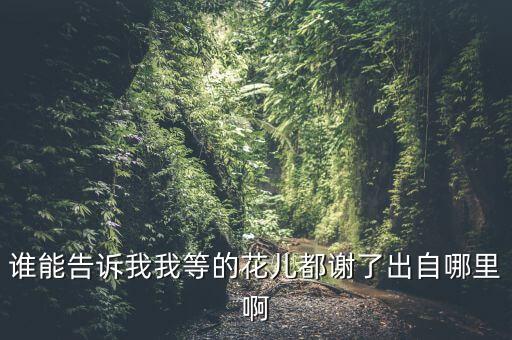 谁能告诉我我等的花儿都谢了出自哪里啊