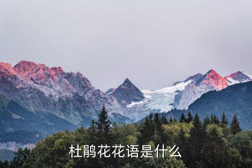 杜鹃花的花语，杜鹃花的花语