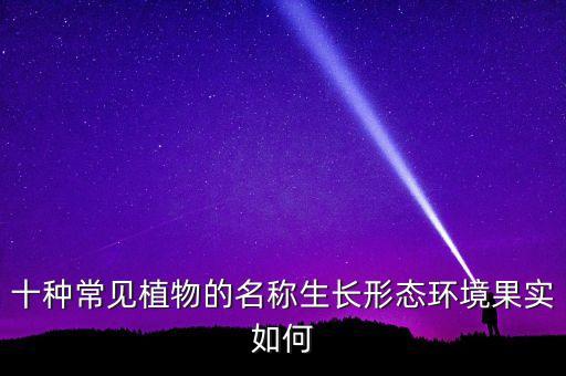 植物图，帮忙看看这些什么植物