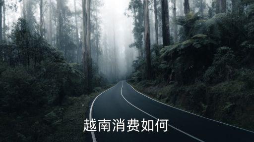 越南消费如何