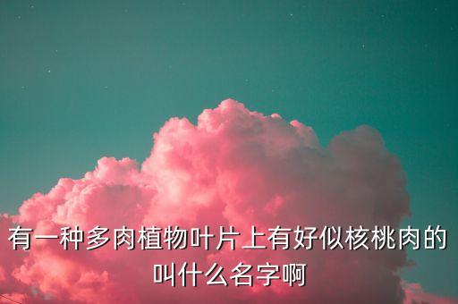 狂野男爵，有一种多肉植物叶片上有好似核桃肉的叫什么名字啊