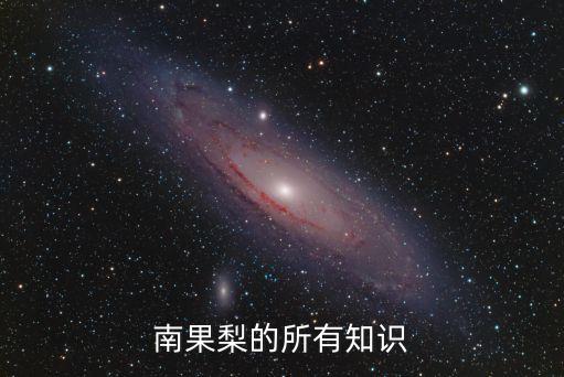 南果梨的所有知识