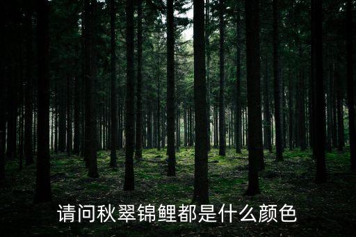 秋翠，谁有锦鲤中的较纯的秋翠品种