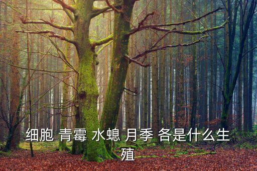细胞 青霉 水螅 月季 各是什么生殖