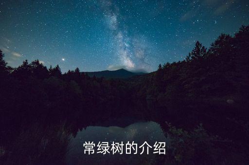 常绿树的介绍