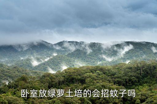 卧室放绿萝土培的会招蚊子吗