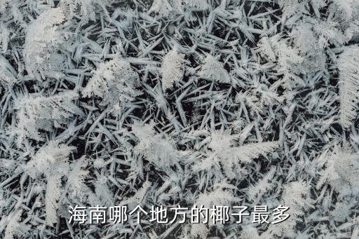 海南哪个地方的椰子最多