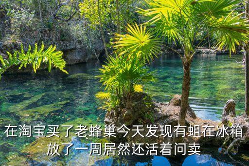 蛆长什么样子，请问水蛆在哪里可以抓到样子又是长的啥样