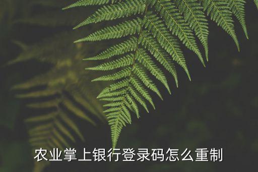 农业掌上银行登录码怎么重制