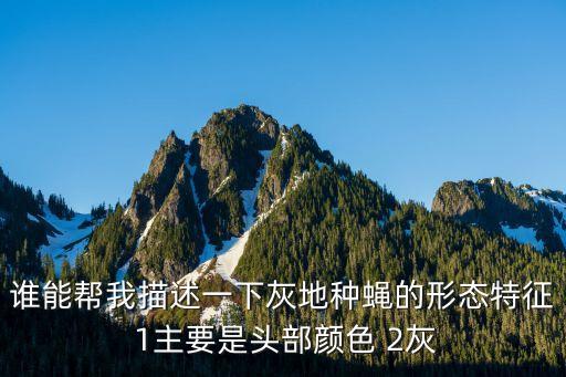 种蝇，蝇蛆养殖请问种蝇选家蝇还是红头苍蝇哪种好