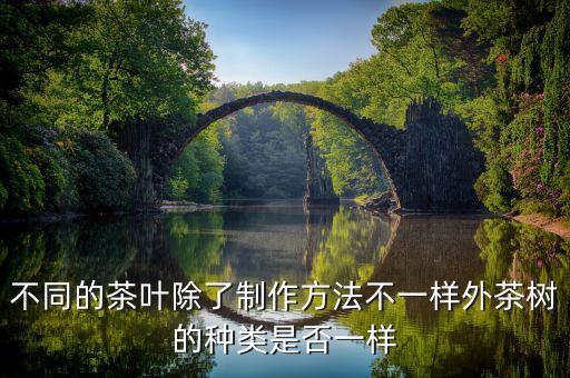 茶树品种，如何选择适制红茶的茶树品种