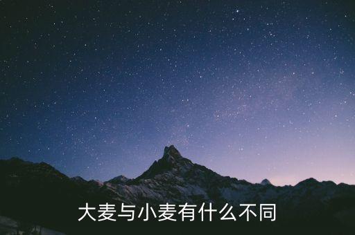 大麦与小麦有什么不同