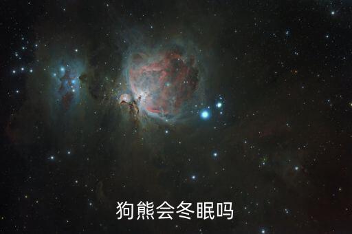狗熊会冬眠吗