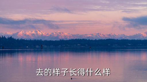 去的样子长得什么样
