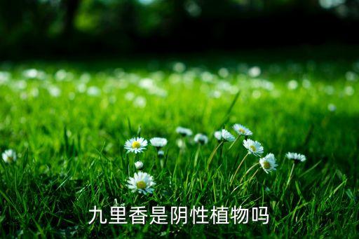 九里香是阴性植物吗