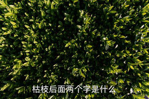 枯枝后面两个字是什么