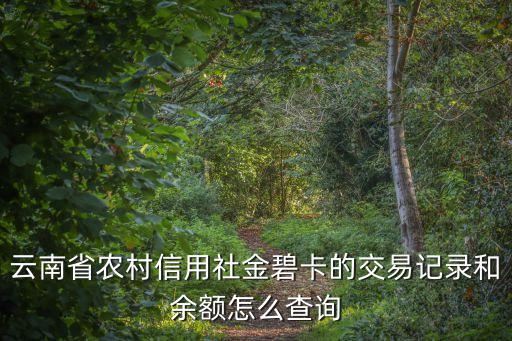 云南省农村信用社金碧卡的交易记录和余额怎么查询