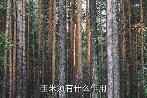玉米须的功效，玉米须有什么作用