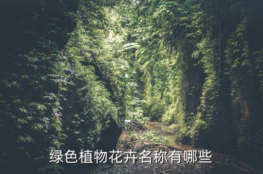 园艺花卉，花园园艺植物有哪些
