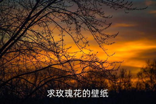 玫瑰花图，求好看的玫瑰花美术色彩图