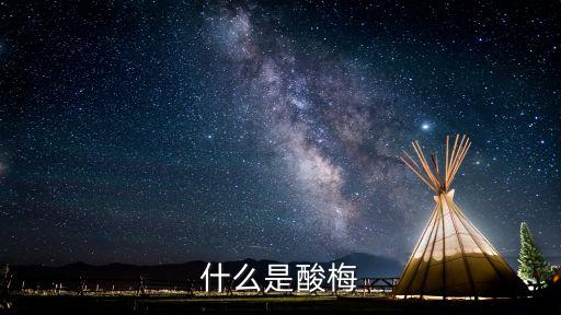 什么是酸梅